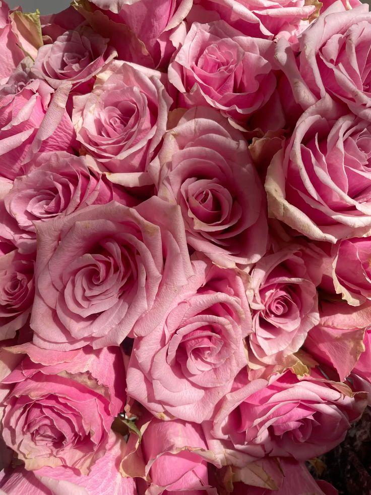 Corporate meeting room with carefully timed floral arrangements that maintain elegance throughout business hours